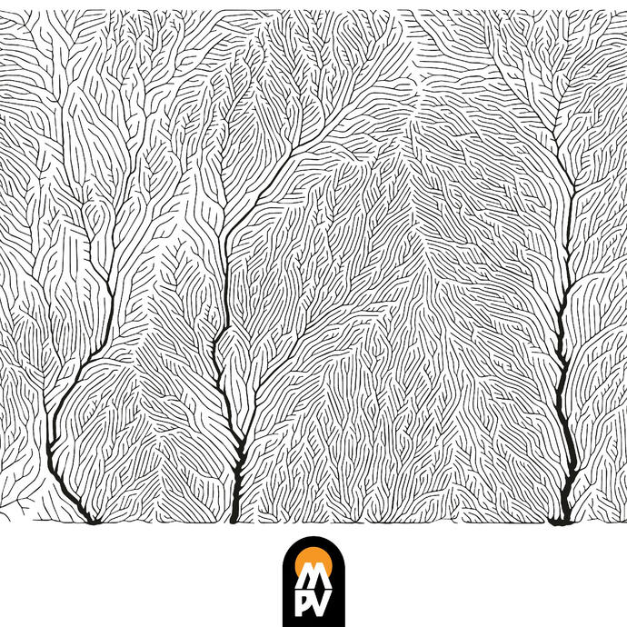 [Single] Into The Woods