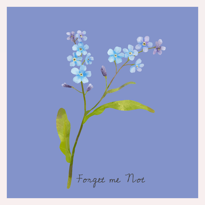 [Single] Forget Me Not